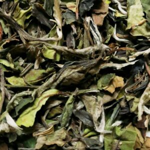 Bai Mu Dan, Thé blanc 1er grade, récolte avril